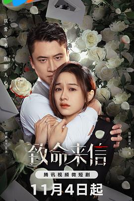 绍兴网站优化收费公司